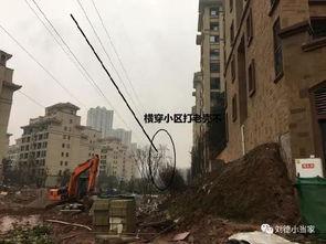 渝北的房子最新爆料,揭秘最新房源爆料，投资与自住两相宜！